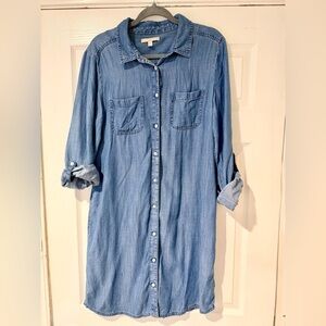 Banana Republic Denim Dress